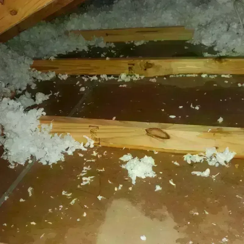 Attic Water Damage in Pickerington, OH