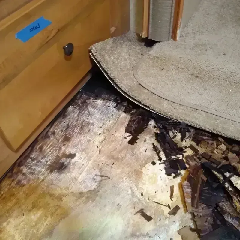 Wood Floor Water Damage in Pickerington, OH